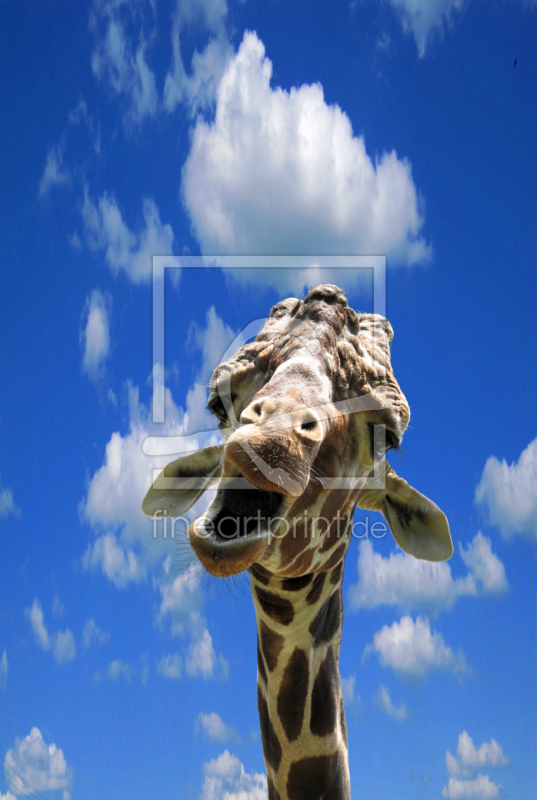 frei wählbarer Bildausschnitt für Ihr Bild auf Poster