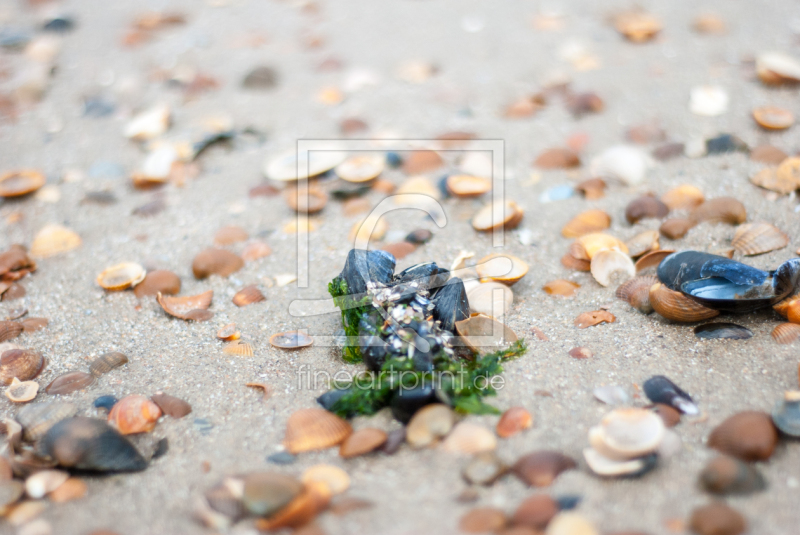 frei w&auml;hlbarer Bildausschnitt f&uuml;r Ihr Bild auf Poster