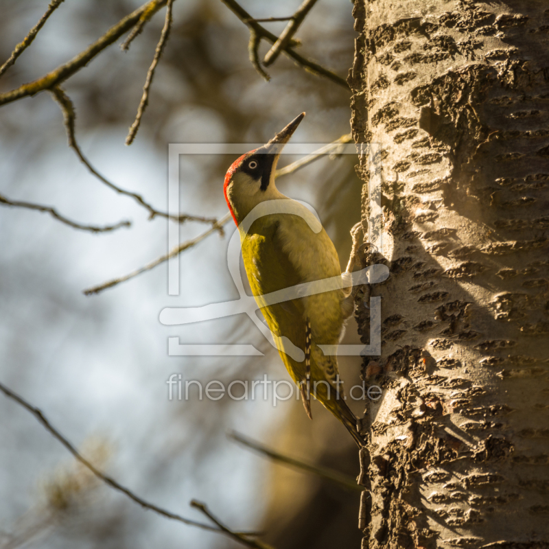 frei w&auml;hlbarer Bildausschnitt f&uuml;r Ihr Bild auf Poster