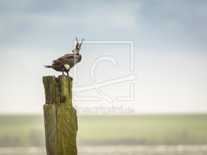 frei w&auml;hlbarer Bildausschnitt f&uuml;r Ihr Bild auf Poster