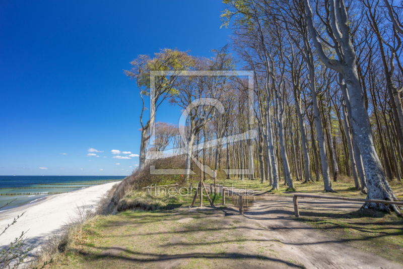 frei wählbarer Bildausschnitt für Ihr Bild auf Poster