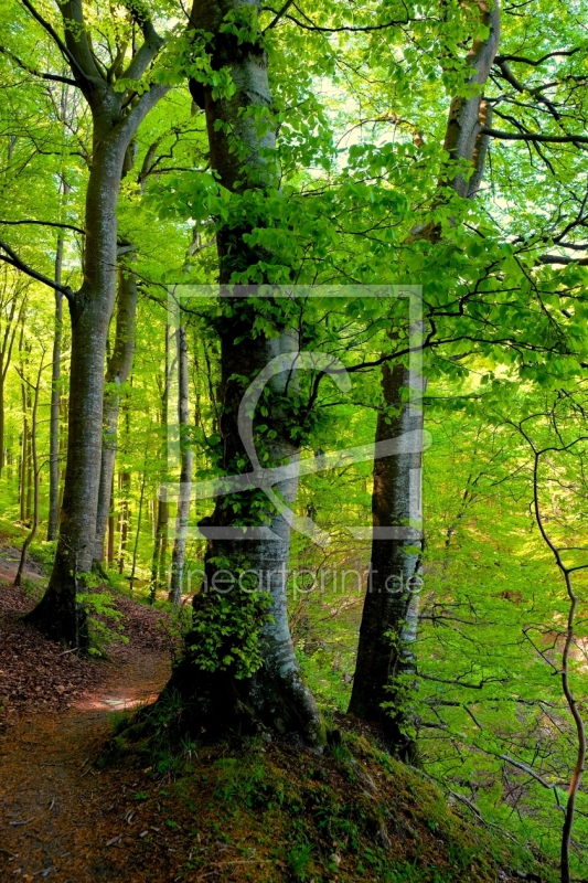 frei wählbarer Bildausschnitt für Ihr Bild auf Poster