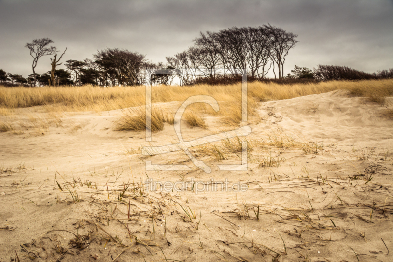 frei wählbarer Bildausschnitt für Ihr Bild auf Poster