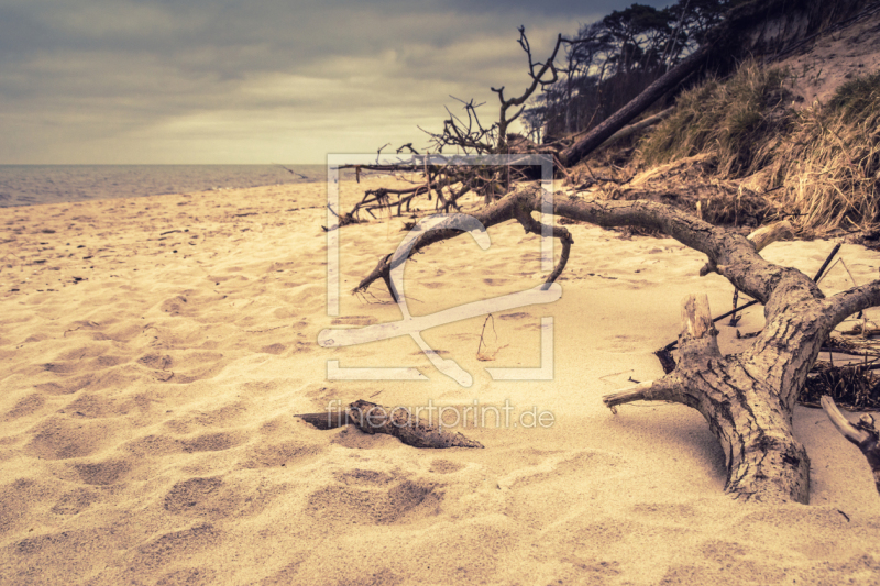 frei wählbarer Bildausschnitt für Ihr Bild auf Poster