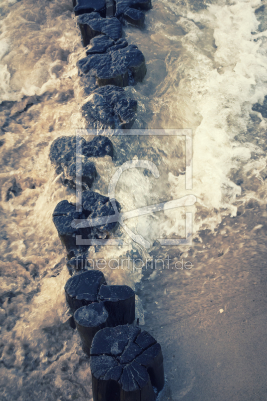 frei wählbarer Bildausschnitt für Ihr Bild auf Poster