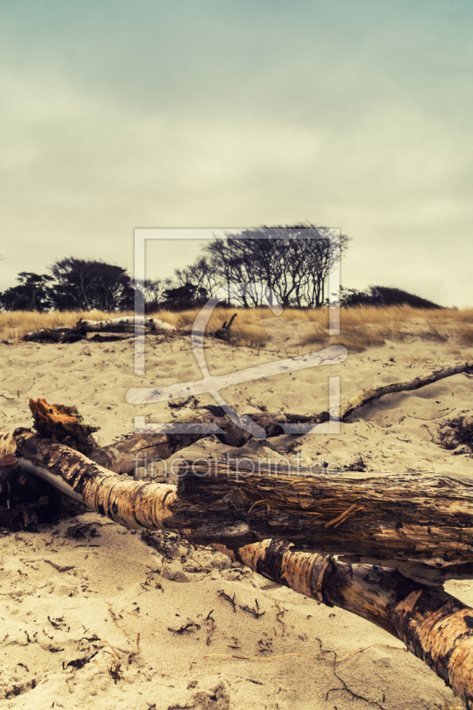 frei wählbarer Bildausschnitt für Ihr Bild auf Poster