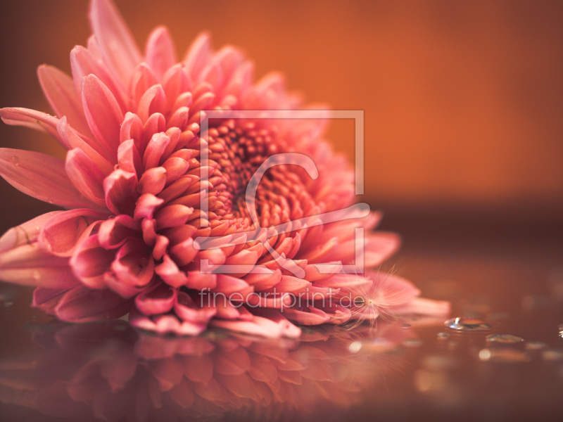 frei w&auml;hlbarer Bildausschnitt f&uuml;r Ihr Bild auf Poster