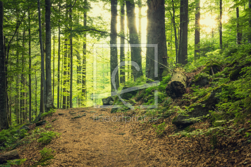 frei w&auml;hlbarer Bildausschnitt f&uuml;r Ihr Bild auf Poster