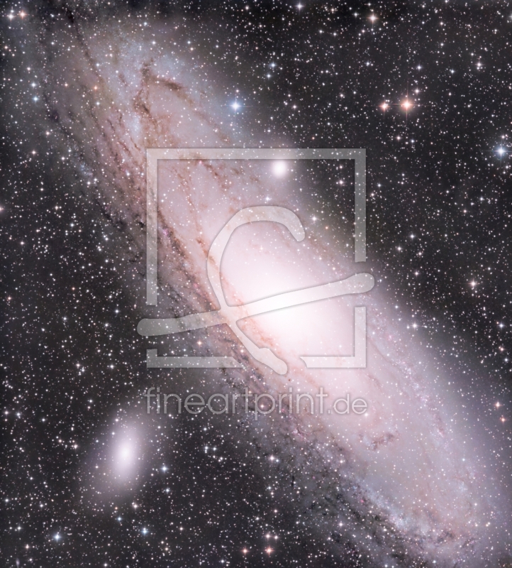 frei wählbarer Bildausschnitt für Ihr Bild auf Poster