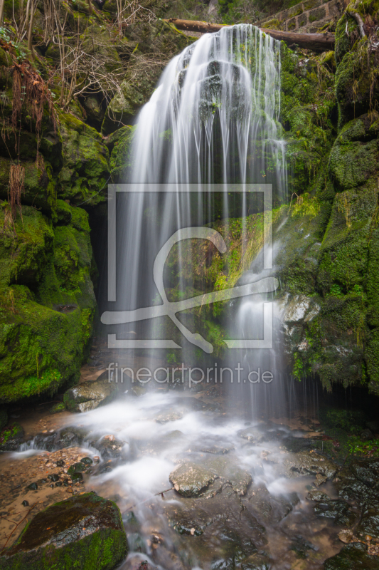 frei wählbarer Bildausschnitt für Ihr Bild auf Poster