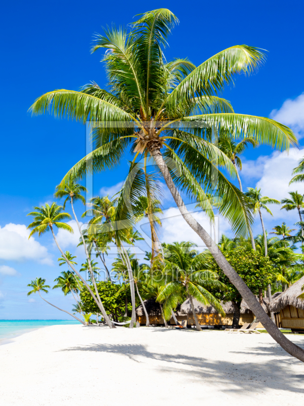 frei wählbarer Bildausschnitt für Ihr Bild auf Poster