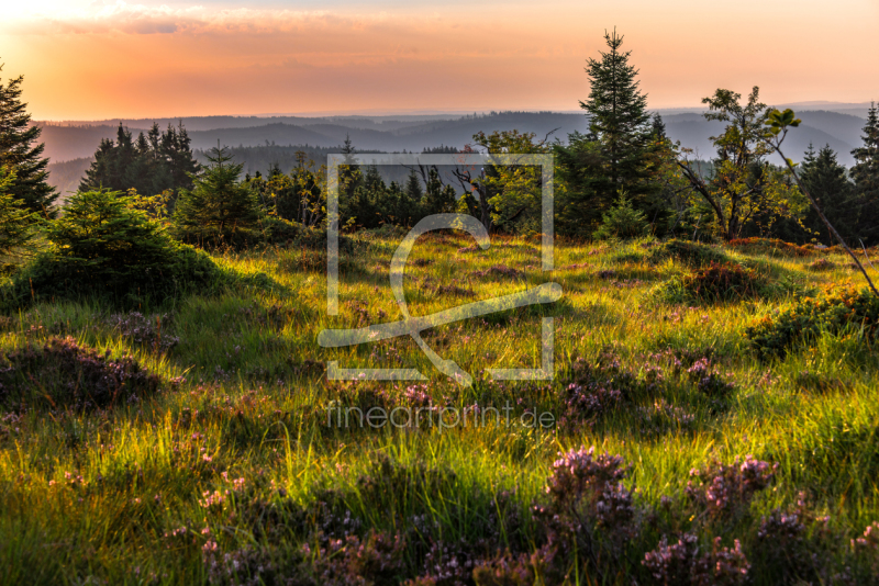 frei wählbarer Bildausschnitt für Ihr Bild auf Poster