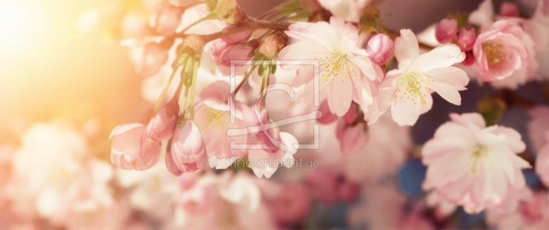 frei w&auml;hlbarer Bildausschnitt f&uuml;r Ihr Bild auf Poster