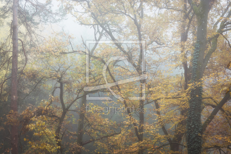 frei wählbarer Bildausschnitt für Ihr Bild auf Poster