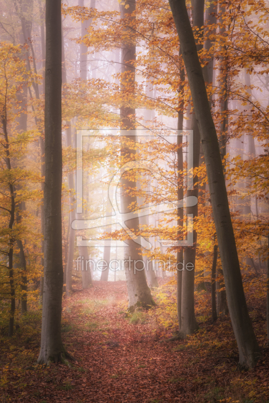 frei wählbarer Bildausschnitt für Ihr Bild auf Poster