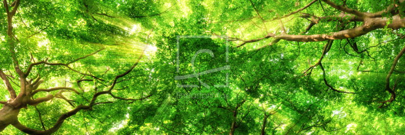 frei wählbarer Bildausschnitt für Ihr Bild auf Poster