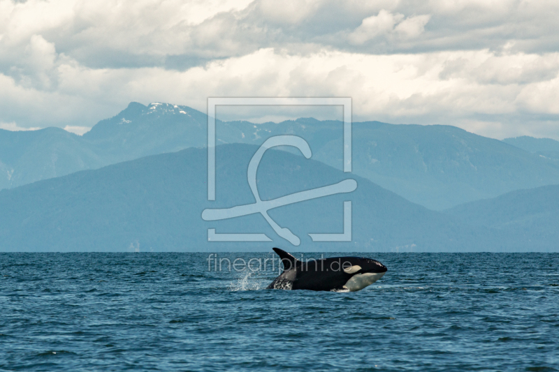 frei w&auml;hlbarer Bildausschnitt f&uuml;r Ihr Bild auf Poster