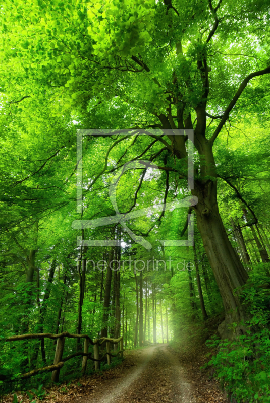 frei wählbarer Bildausschnitt für Ihr Bild auf Poster