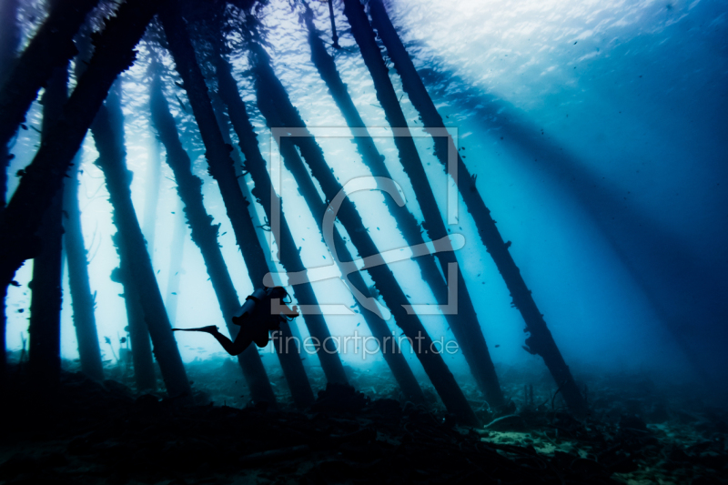frei w&auml;hlbarer Bildausschnitt f&uuml;r Ihr Bild auf Poster