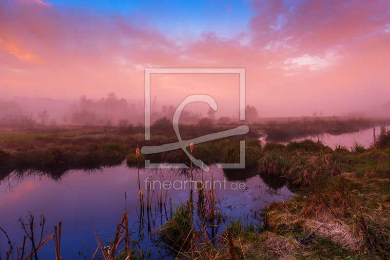 frei wählbarer Bildausschnitt für Ihr Bild auf Poster