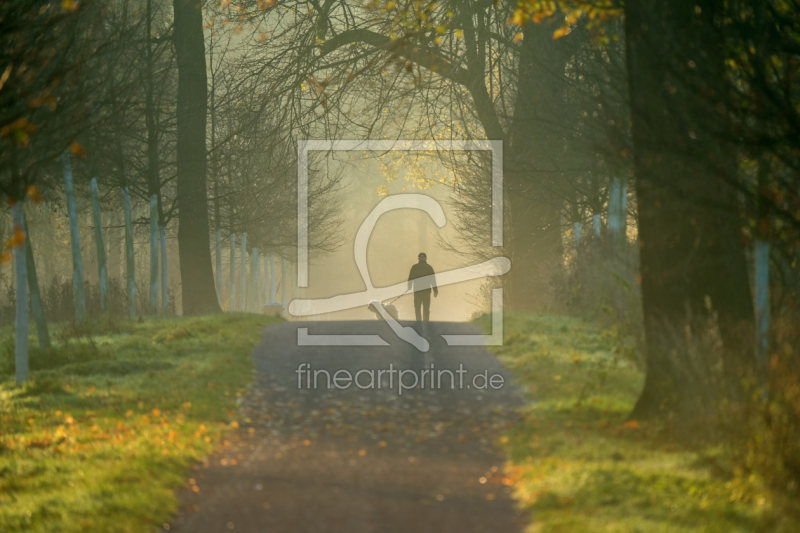 frei wählbarer Bildausschnitt für Ihr Bild auf Poster