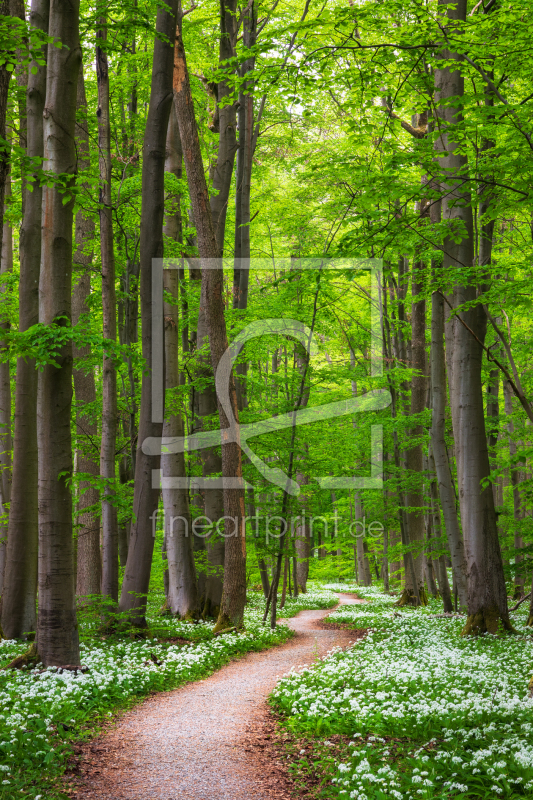 frei wählbarer Bildausschnitt für Ihr Bild auf Poster