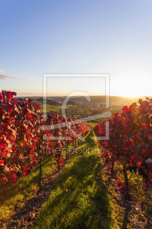 frei w&auml;hlbarer Bildausschnitt f&uuml;r Ihr Bild auf Poster