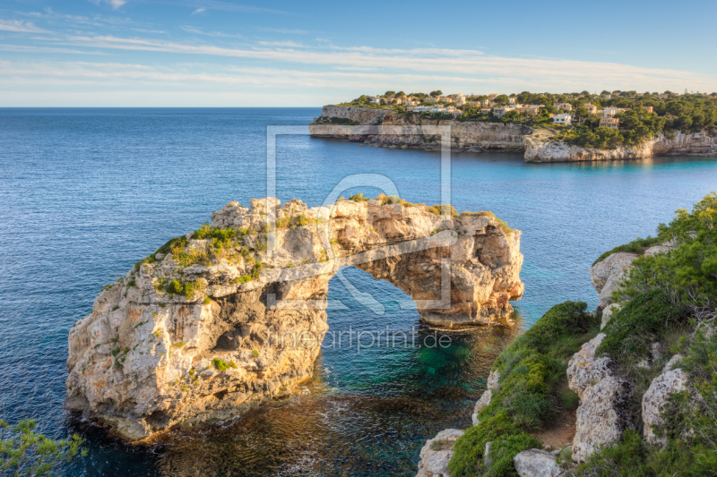 frei wählbarer Bildausschnitt für Ihr Bild auf Poster