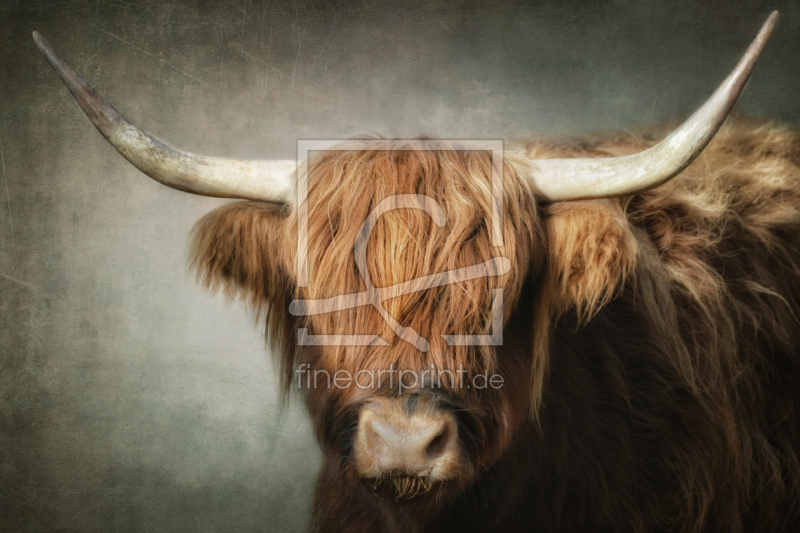 frei wählbarer Bildausschnitt für Ihr Bild auf Poster