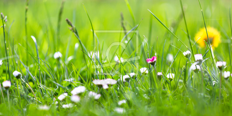 frei w&auml;hlbarer Bildausschnitt f&uuml;r Ihr Bild auf Poster