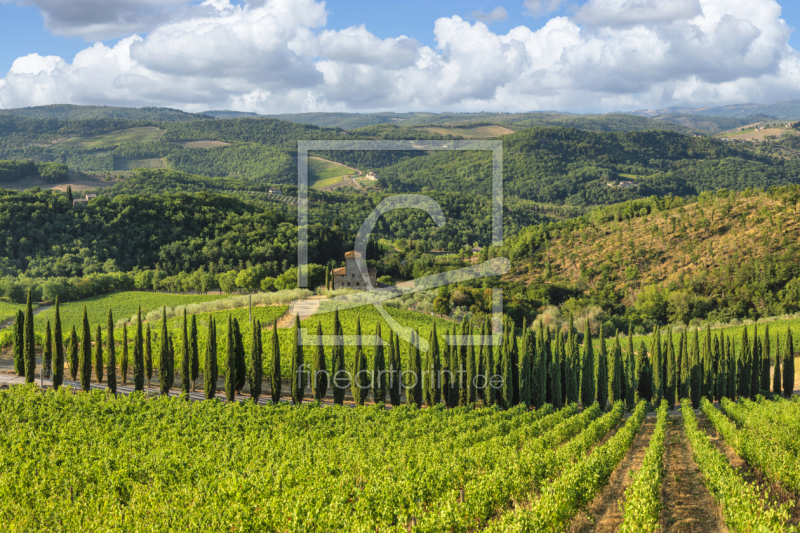 frei w&auml;hlbarer Bildausschnitt f&uuml;r Ihr Bild auf Poster