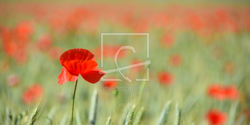 frei w&auml;hlbarer Bildausschnitt f&uuml;r Ihr Bild auf Poster