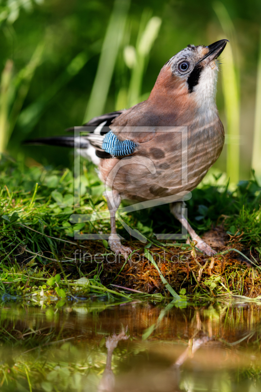 frei wählbarer Bildausschnitt für Ihr Bild auf Poster