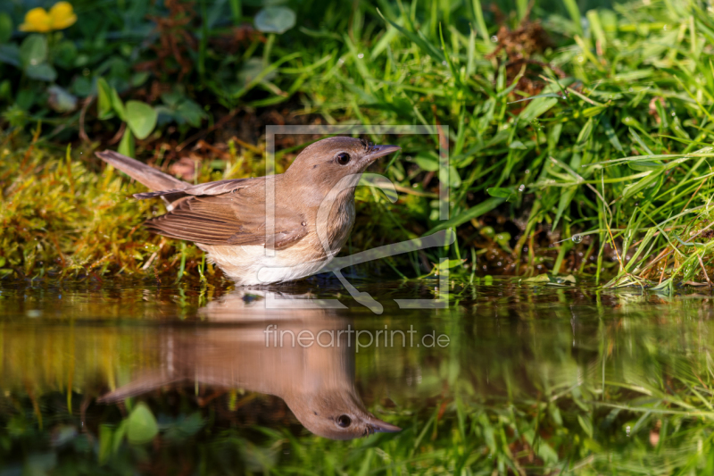 frei wählbarer Bildausschnitt für Ihr Bild auf Poster