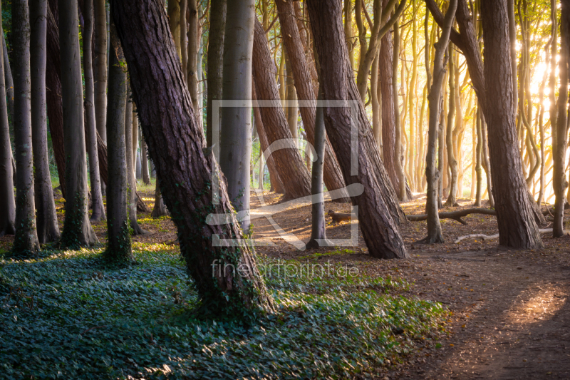 frei w&auml;hlbarer Bildausschnitt f&uuml;r Ihr Bild auf Poster