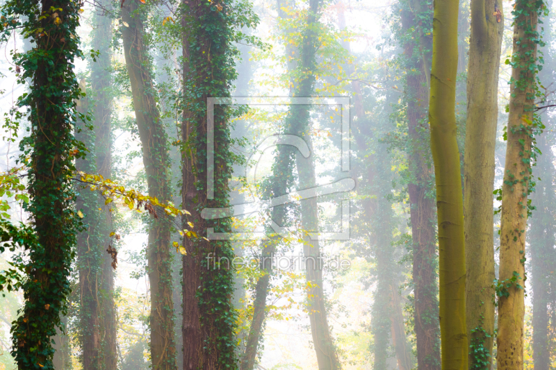 frei wählbarer Bildausschnitt für Ihr Bild auf Poster