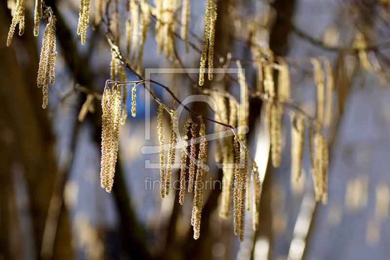 frei w&auml;hlbarer Bildausschnitt f&uuml;r Ihr Bild auf Poster