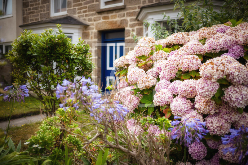 frei w&auml;hlbarer Bildausschnitt f&uuml;r Ihr Bild auf Poster