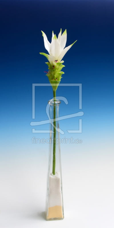 frei w&auml;hlbarer Bildausschnitt f&uuml;r Ihr Bild auf Poster