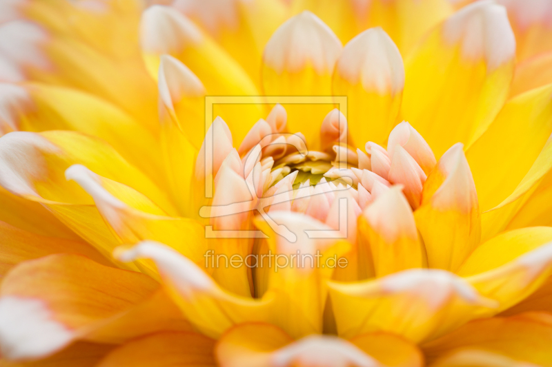 frei w&auml;hlbarer Bildausschnitt f&uuml;r Ihr Bild auf Poster