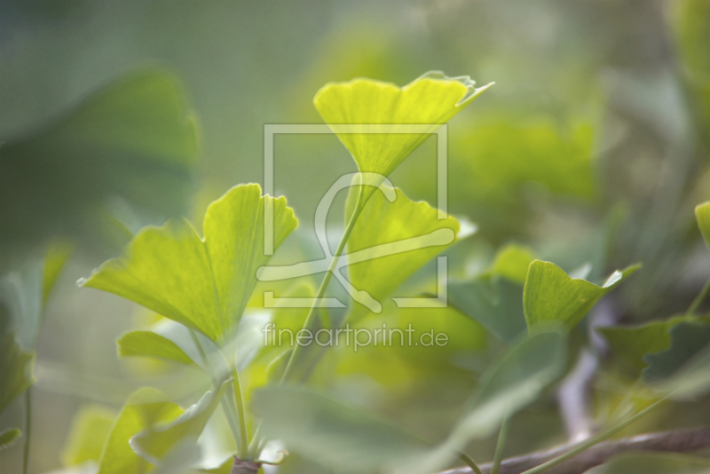 frei w&auml;hlbarer Bildausschnitt f&uuml;r Ihr Bild auf Poster