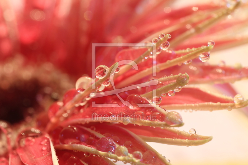 frei w&auml;hlbarer Bildausschnitt f&uuml;r Ihr Bild auf Poster