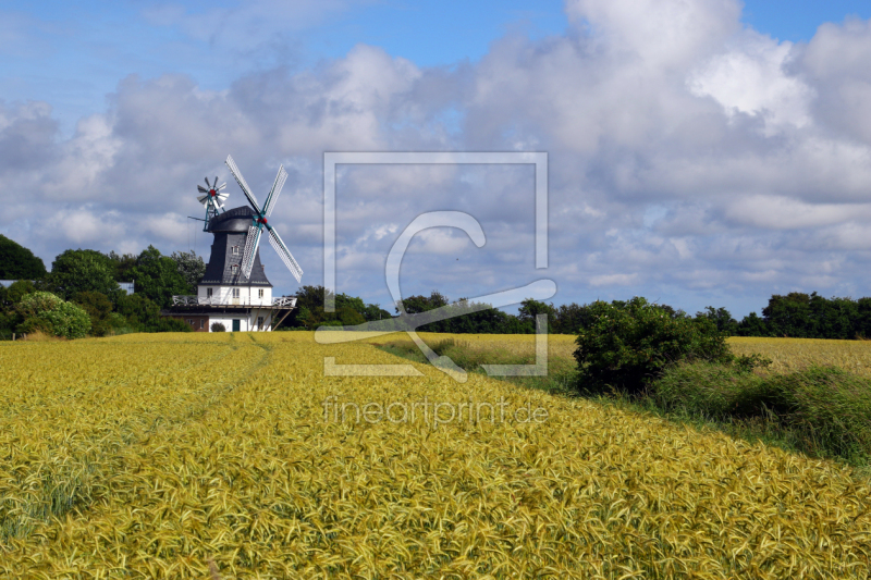 frei w&auml;hlbarer Bildausschnitt f&uuml;r Ihr Bild auf Poster