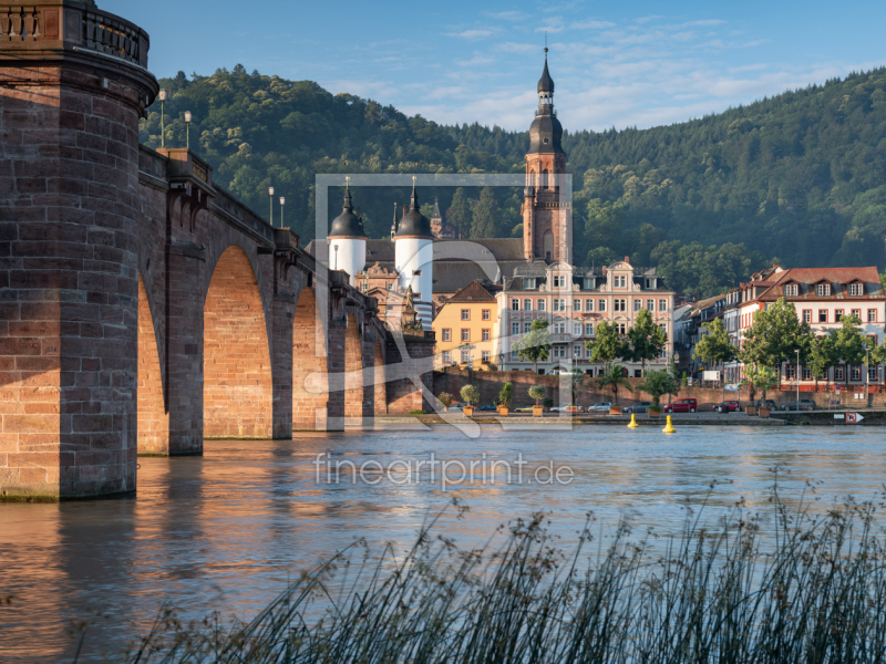 frei wählbarer Bildausschnitt für Ihr Bild auf Poster
