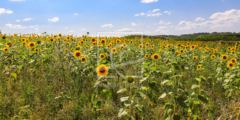 frei w&auml;hlbarer Bildausschnitt f&uuml;r Ihr Bild auf Poster