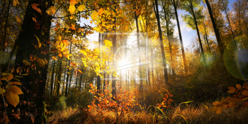 frei w&auml;hlbarer Bildausschnitt f&uuml;r Ihr Bild auf Poster