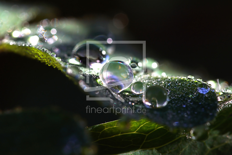 frei w&auml;hlbarer Bildausschnitt f&uuml;r Ihr Bild auf Poster