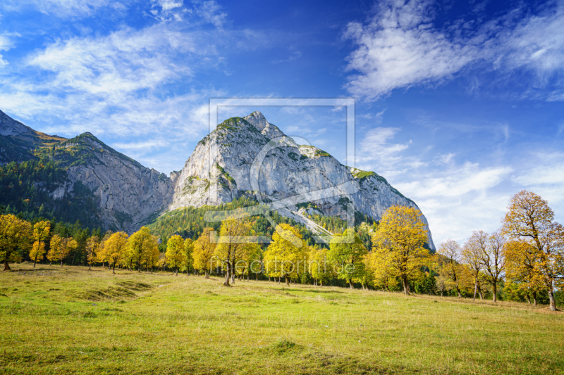 frei w&auml;hlbarer Bildausschnitt f&uuml;r Ihr Bild auf Poster