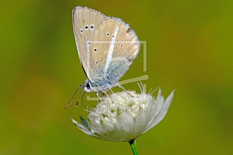 frei w&auml;hlbarer Bildausschnitt f&uuml;r Ihr Bild auf Poster