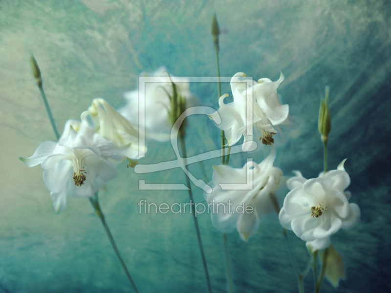 frei w&auml;hlbarer Bildausschnitt f&uuml;r Ihr Bild auf Poster